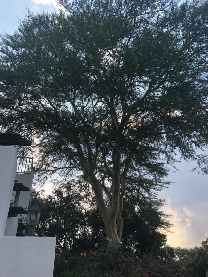 Fever Tree Suites Johannesburg Exterior photo