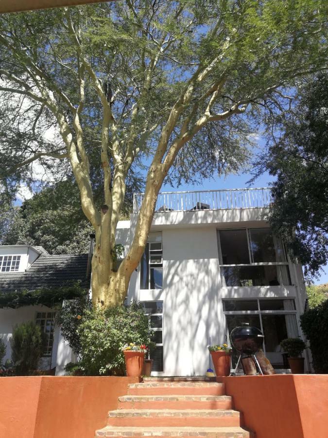Fever Tree Suites Johannesburg Exterior photo